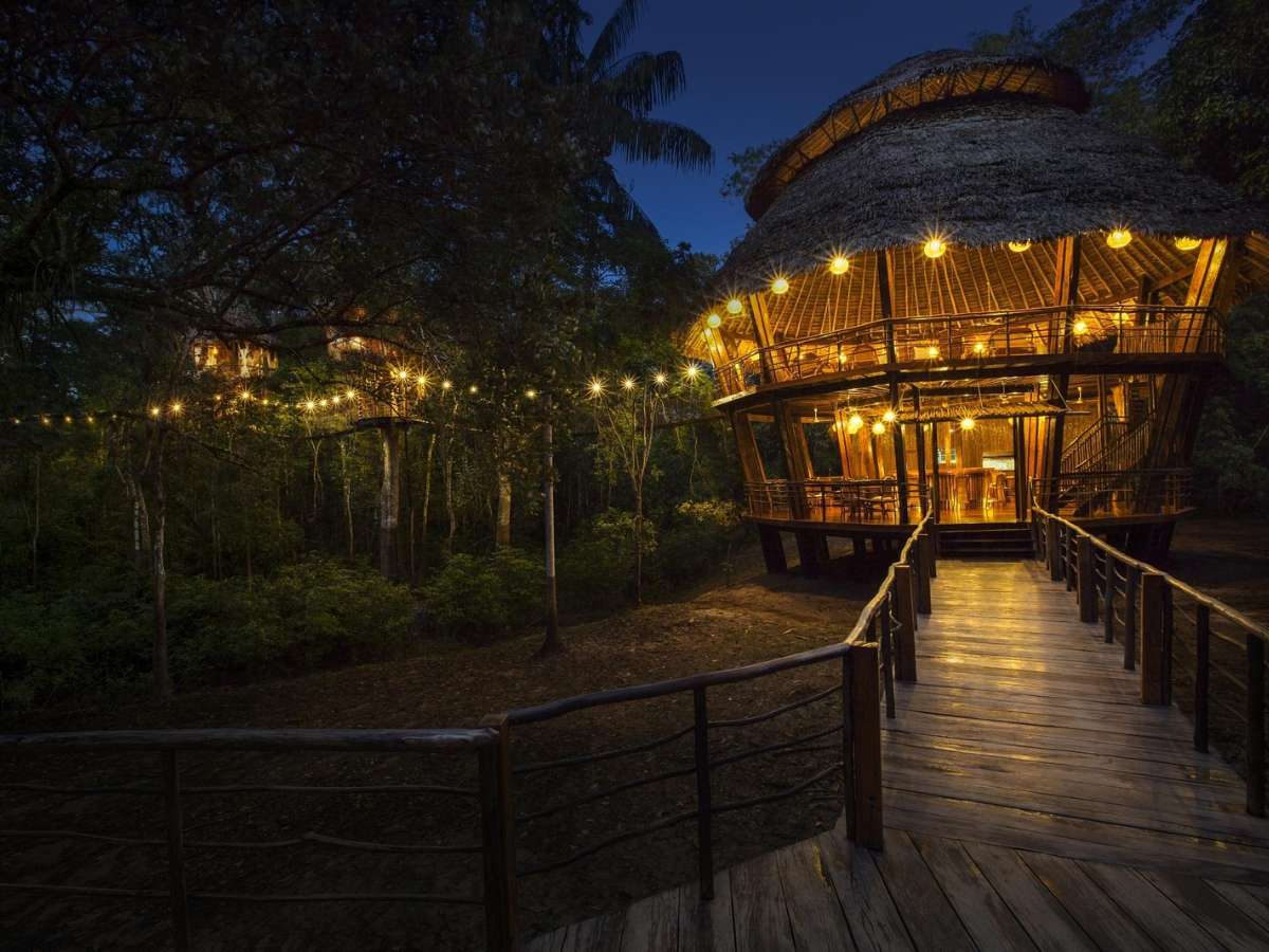 Treehouse Lodge
